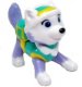 2024 Paw Patrol 2 - Everest + BPZ